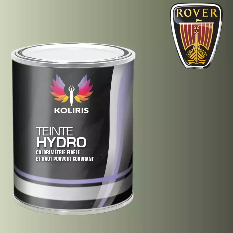 Peinture voiture hydro Rover