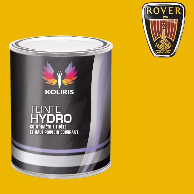 Peinture voiture hydro Rover