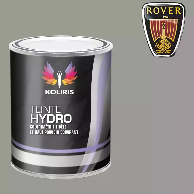 Peinture voiture hydro Rover