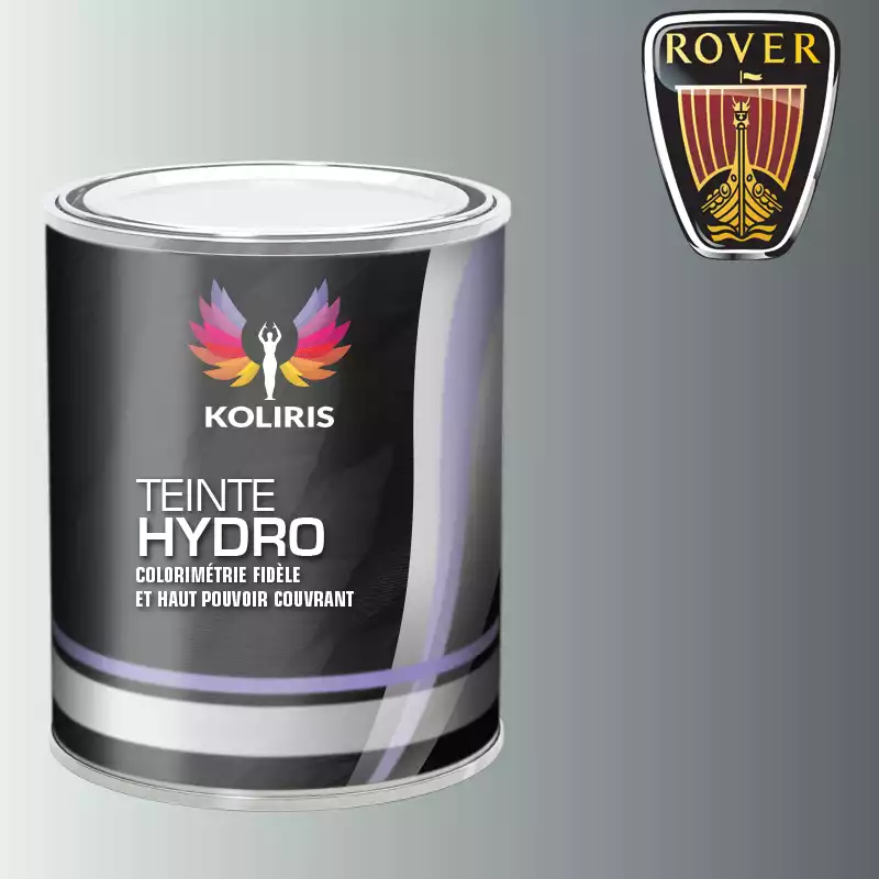 Peinture voiture hydro Rover