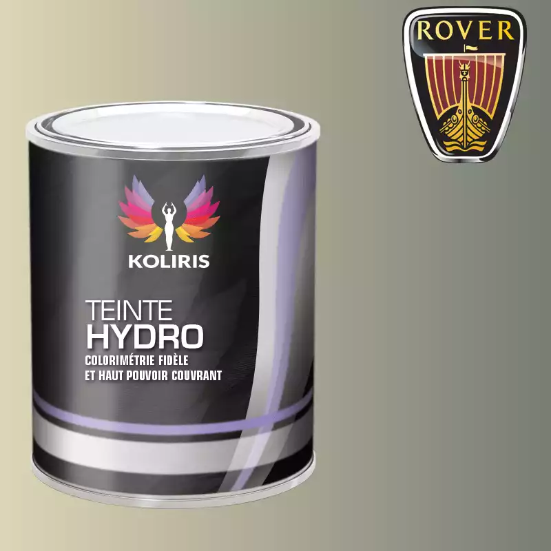 Peinture voiture hydro Rover