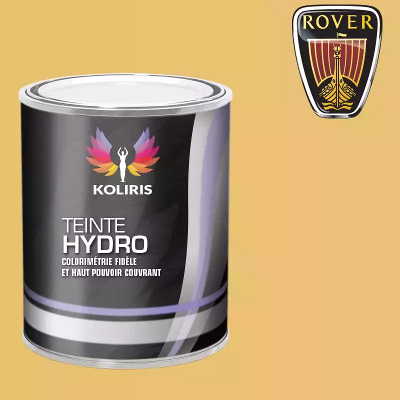 Peinture voiture hydro Rover