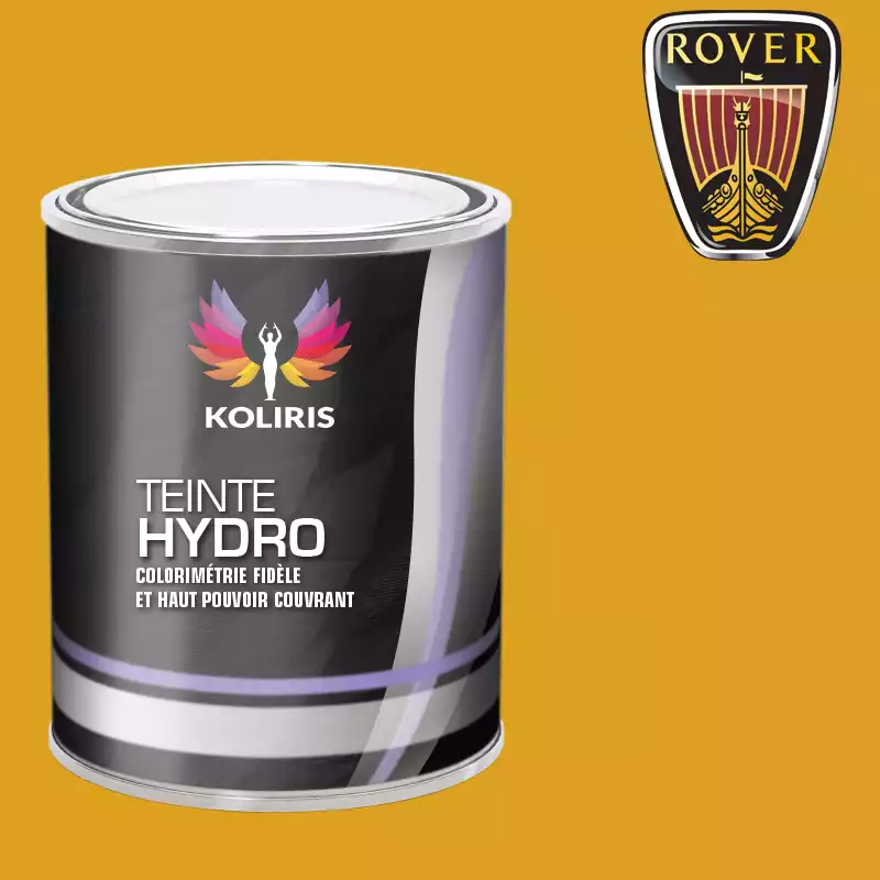 Peinture voiture hydro Rover