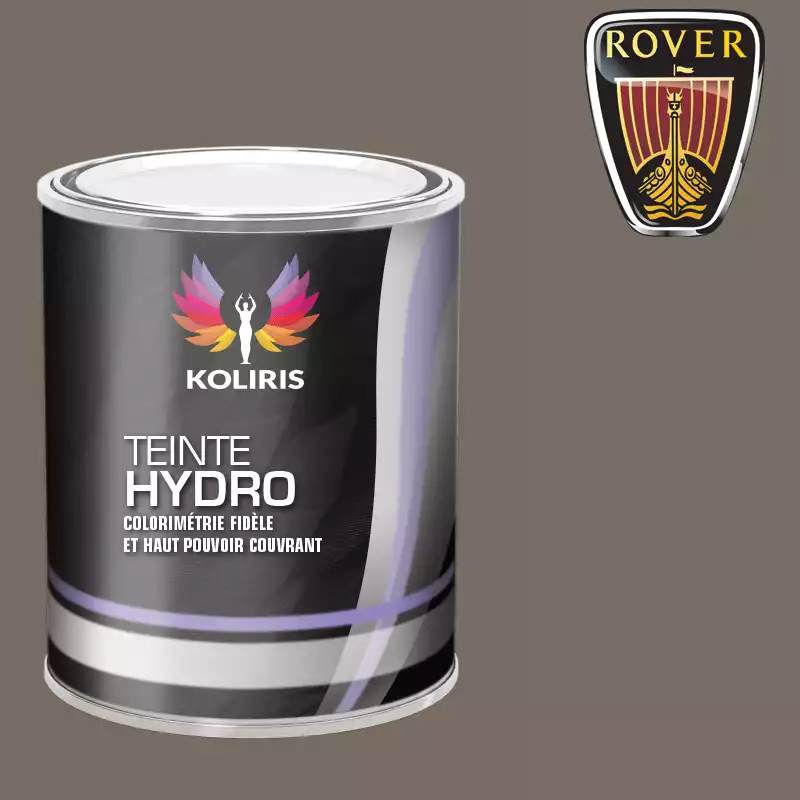 Peinture voiture hydro Rover