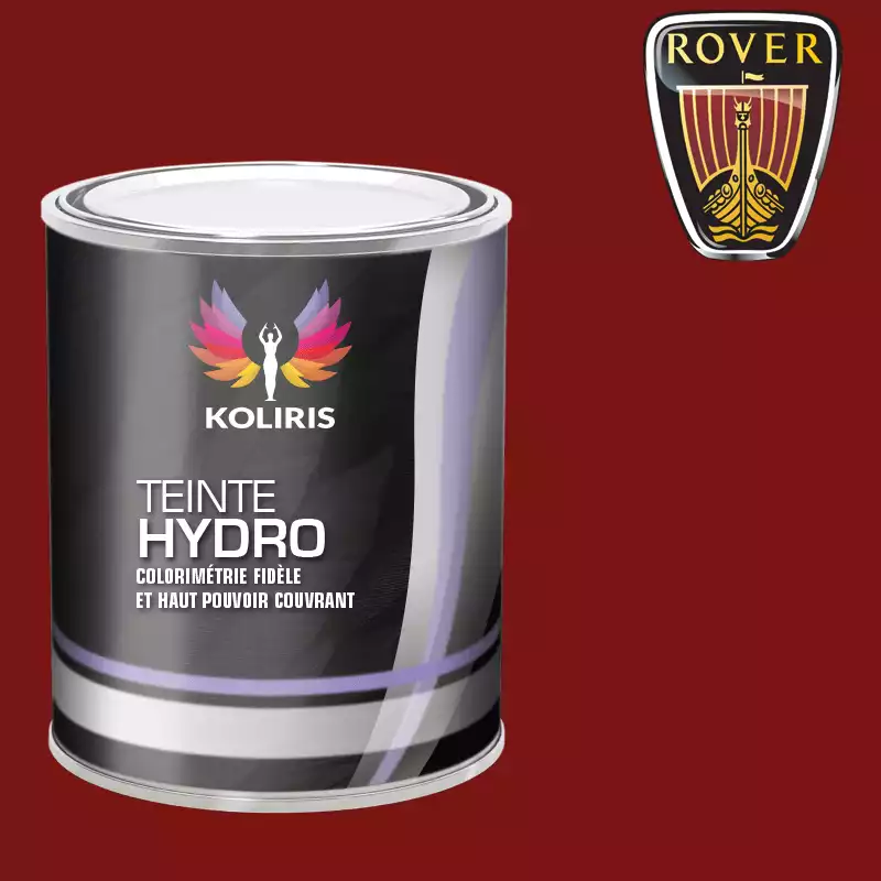 Peinture voiture hydro Rover