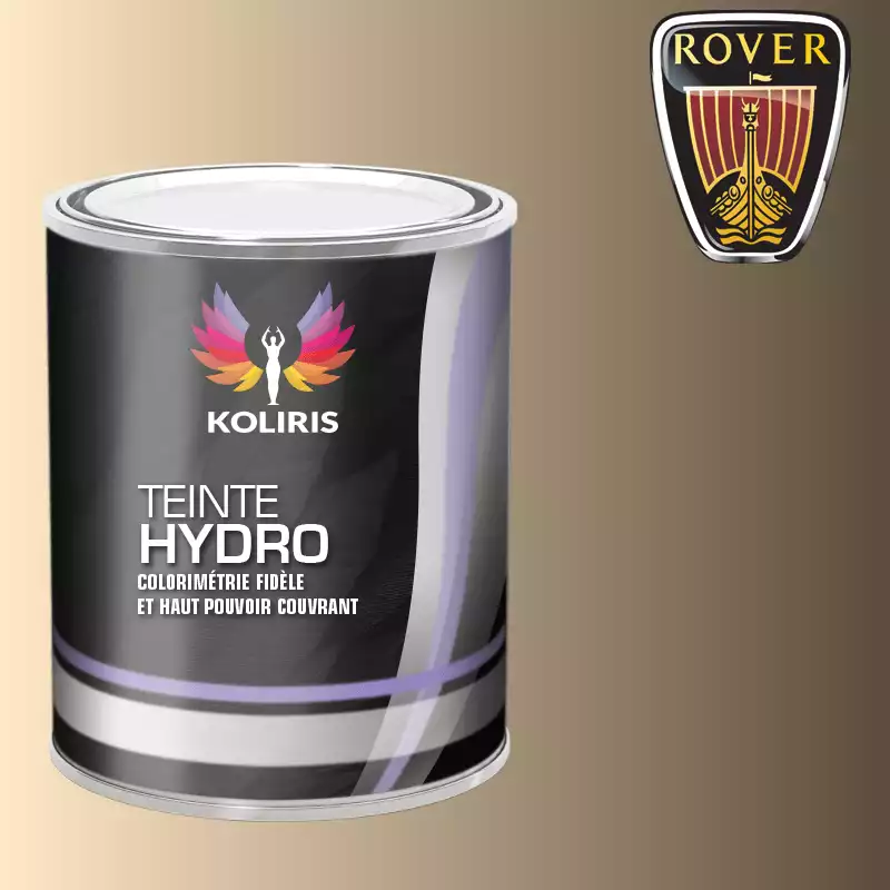 Peinture voiture hydro Rover