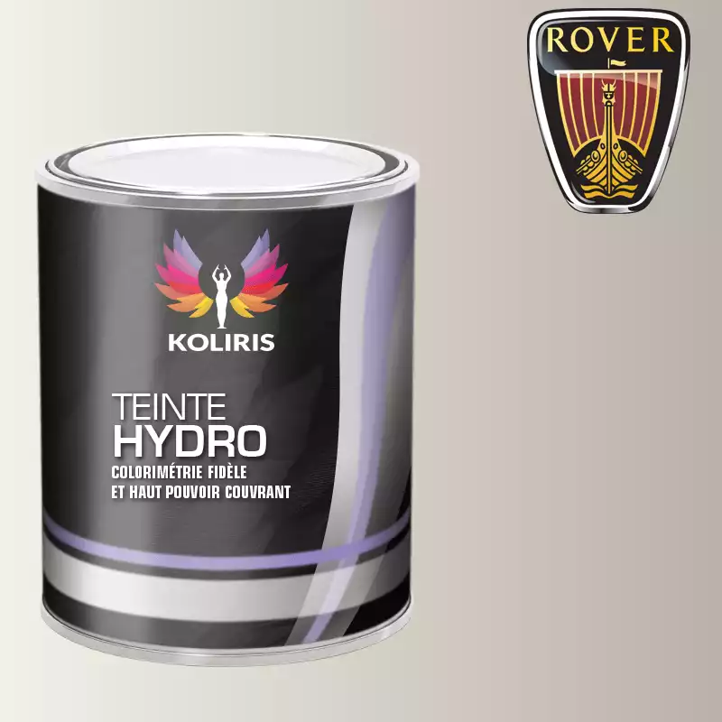 Peinture voiture hydro Rover