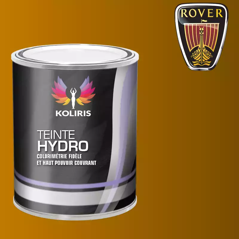 Peinture voiture hydro Rover