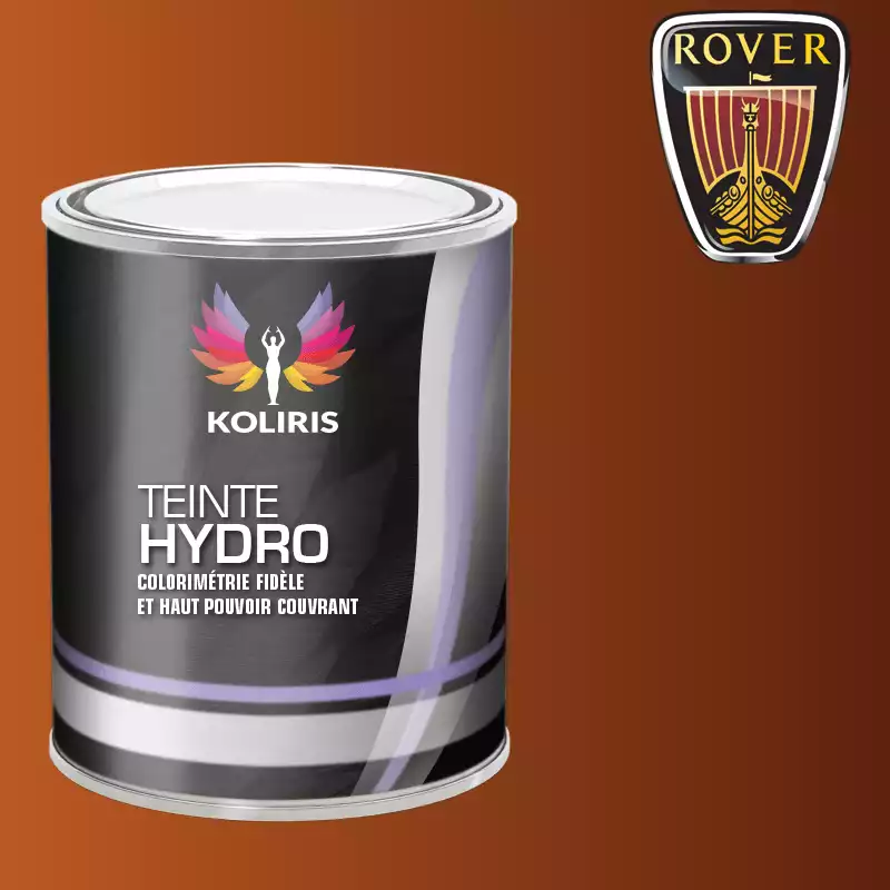 Peinture voiture hydro Rover