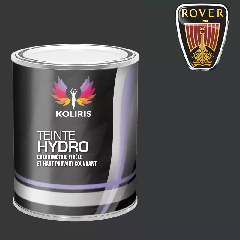 Peinture voiture hydro Rover