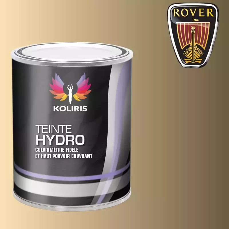 Peinture voiture hydro Rover