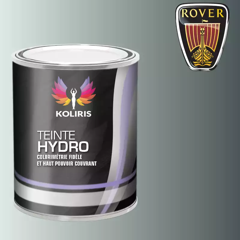 Peinture voiture hydro Rover