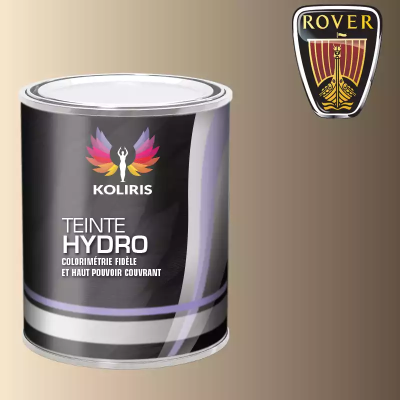 Peinture voiture hydro Rover