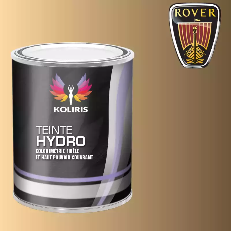 Peinture voiture hydro Rover