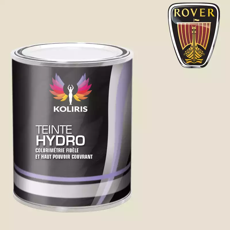 Peinture voiture hydro Rover