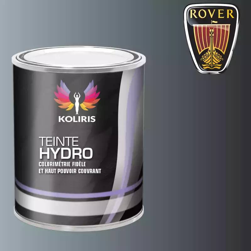 Peinture voiture hydro Rover