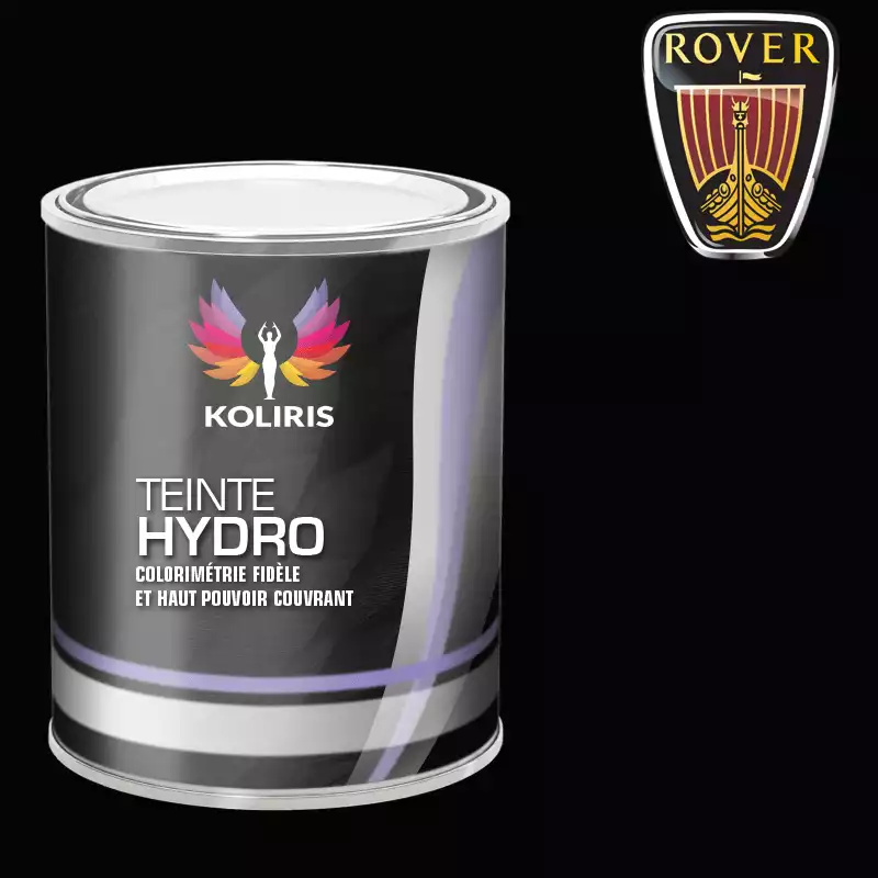 Peinture voiture hydro Rover