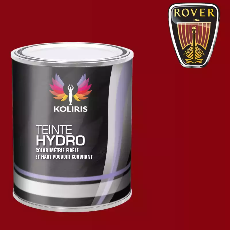 Peinture voiture hydro Rover