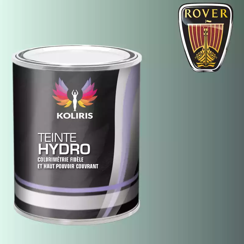 Peinture voiture hydro Rover