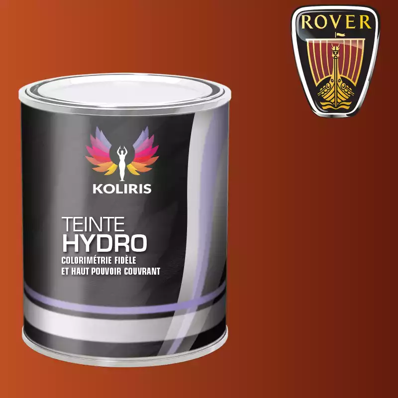 Peinture voiture hydro Rover