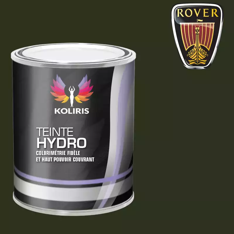 Peinture voiture hydro Rover