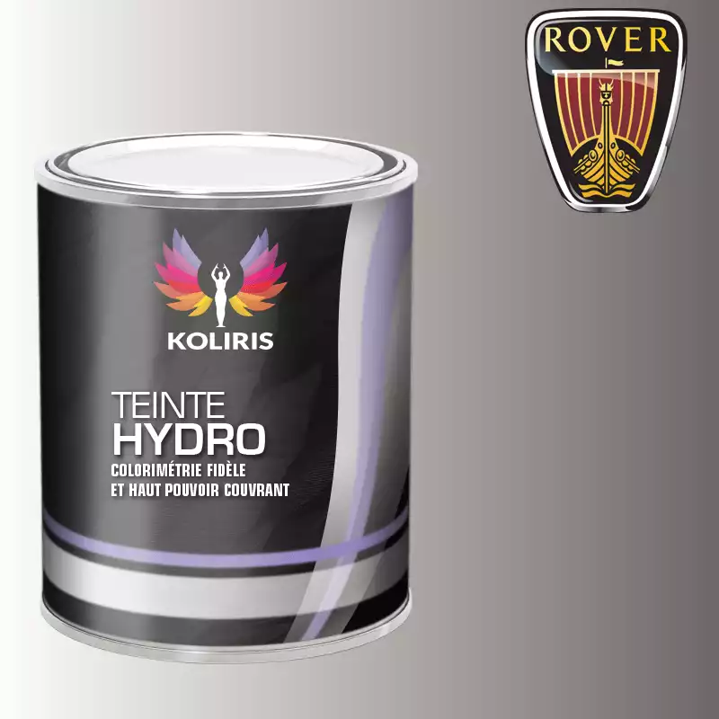 Peinture voiture hydro Rover