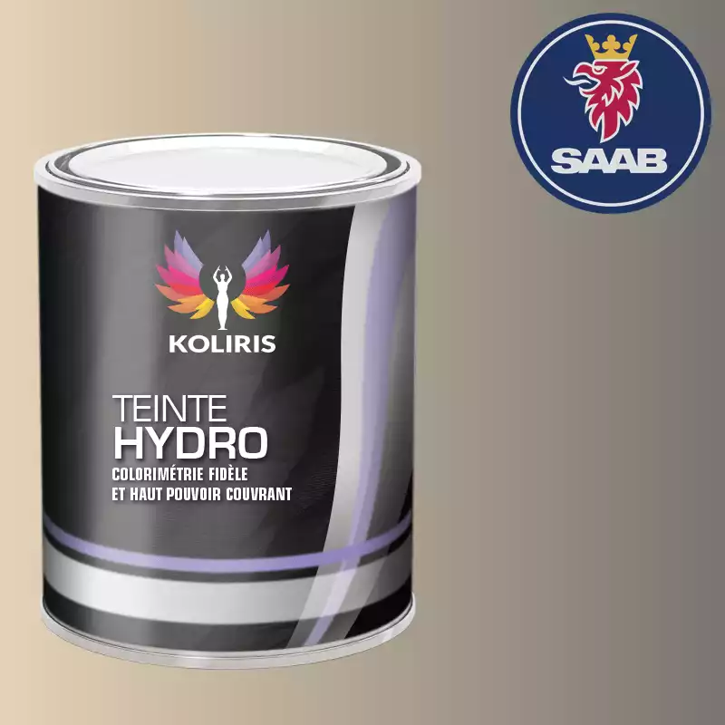 Peinture voiture hydro Saab