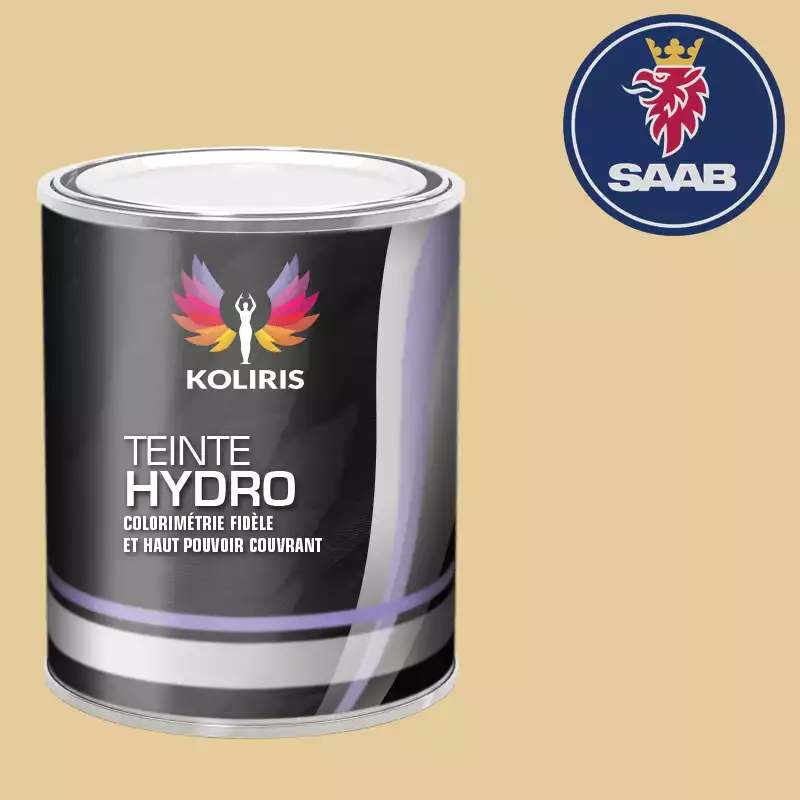 Peinture voiture hydro Saab