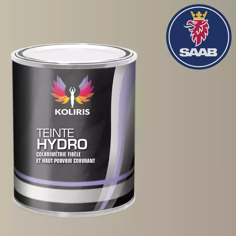 Peinture voiture hydro Saab