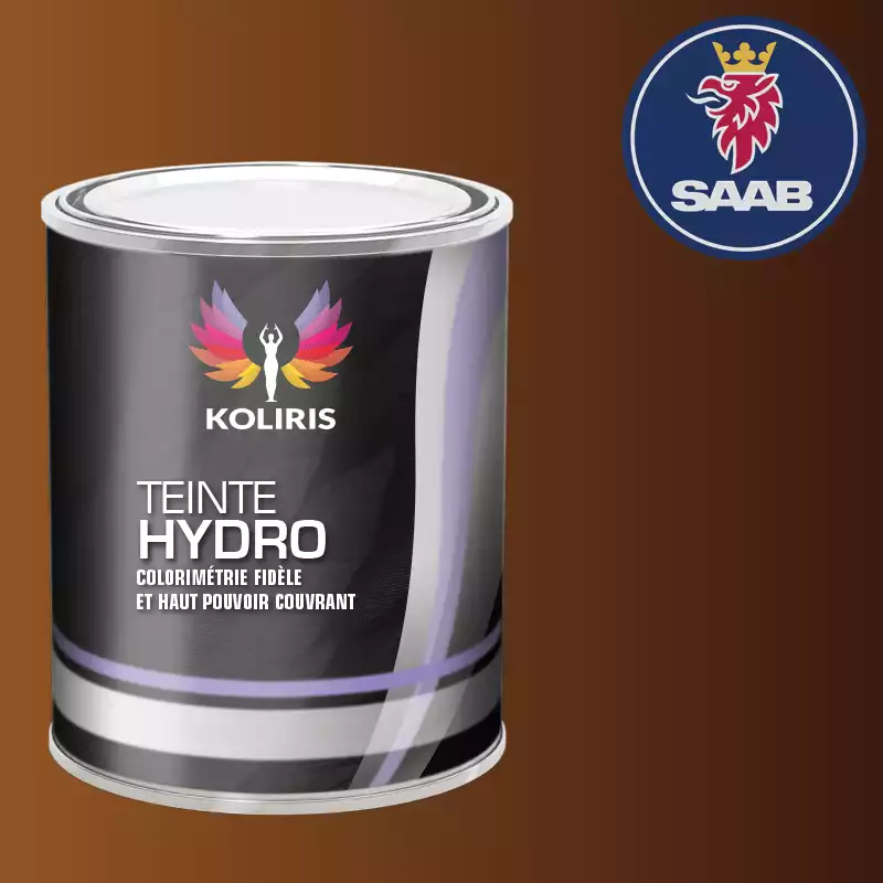 Peinture voiture hydro Saab