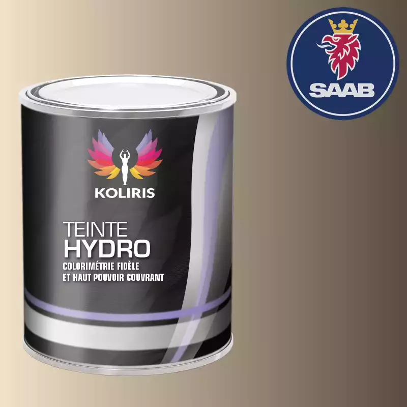 Peinture voiture hydro Saab