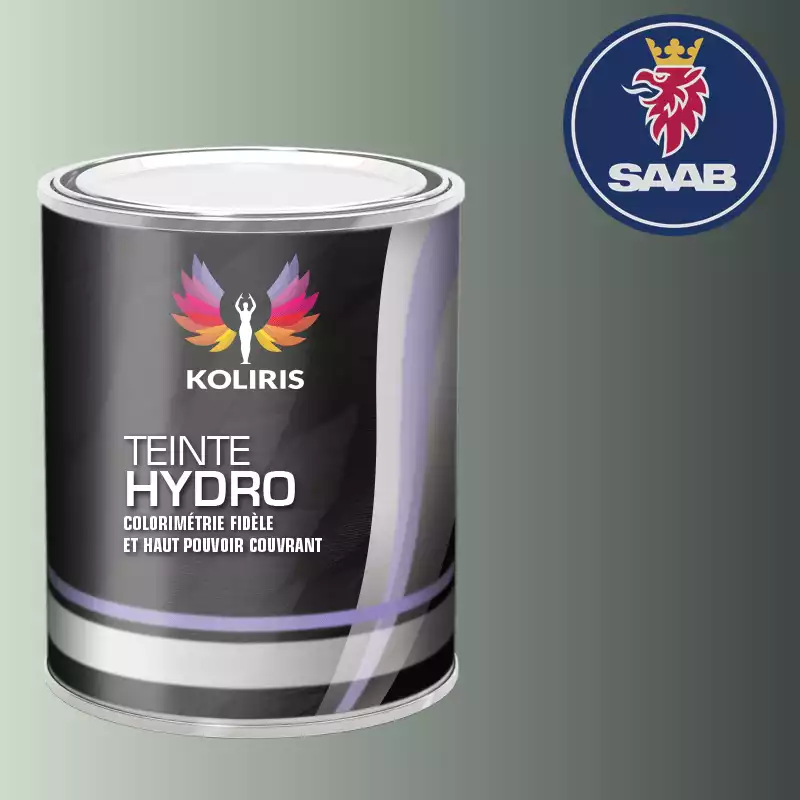 Peinture voiture hydro Saab