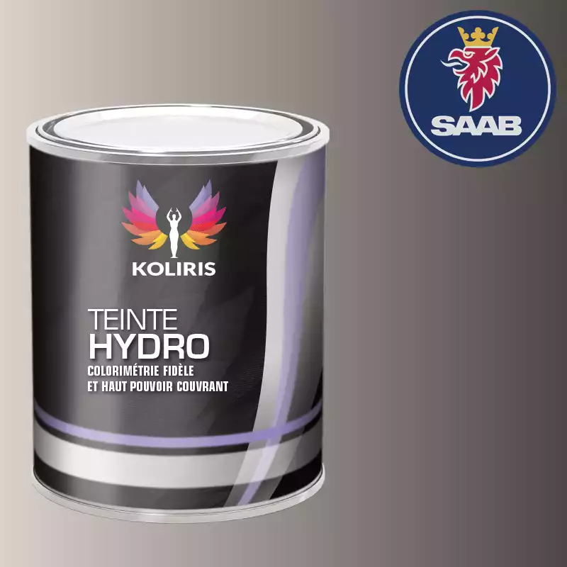 Peinture voiture hydro Saab