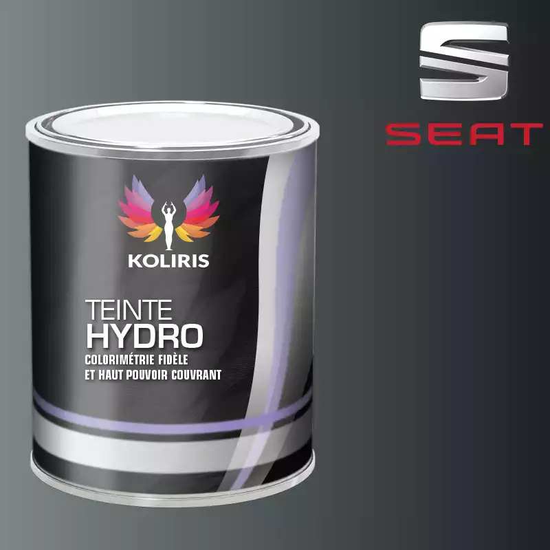 Peinture voiture hydro Seat