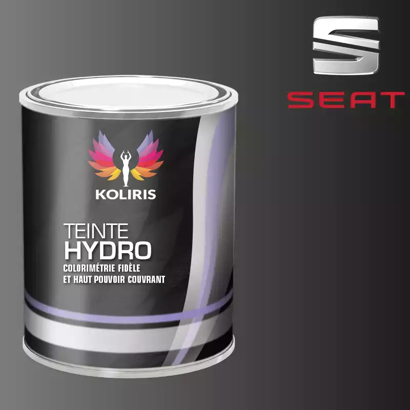 Peinture voiture hydro Seat