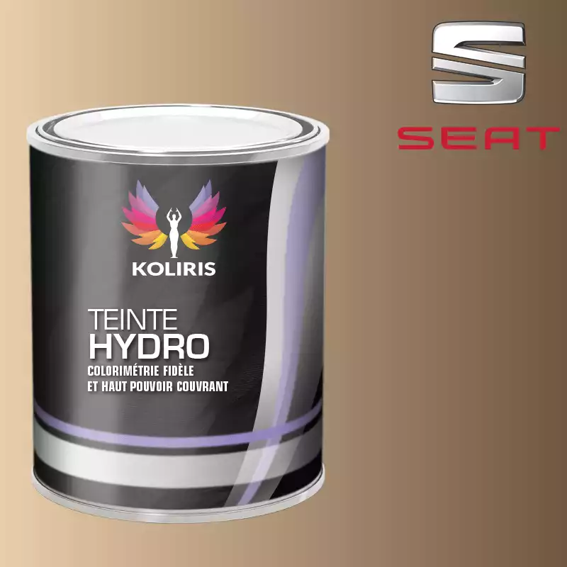 Peinture voiture hydro Seat