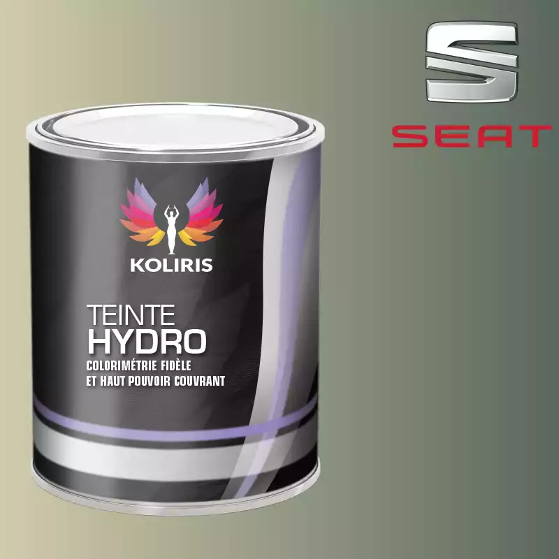 Peinture voiture hydro Seat