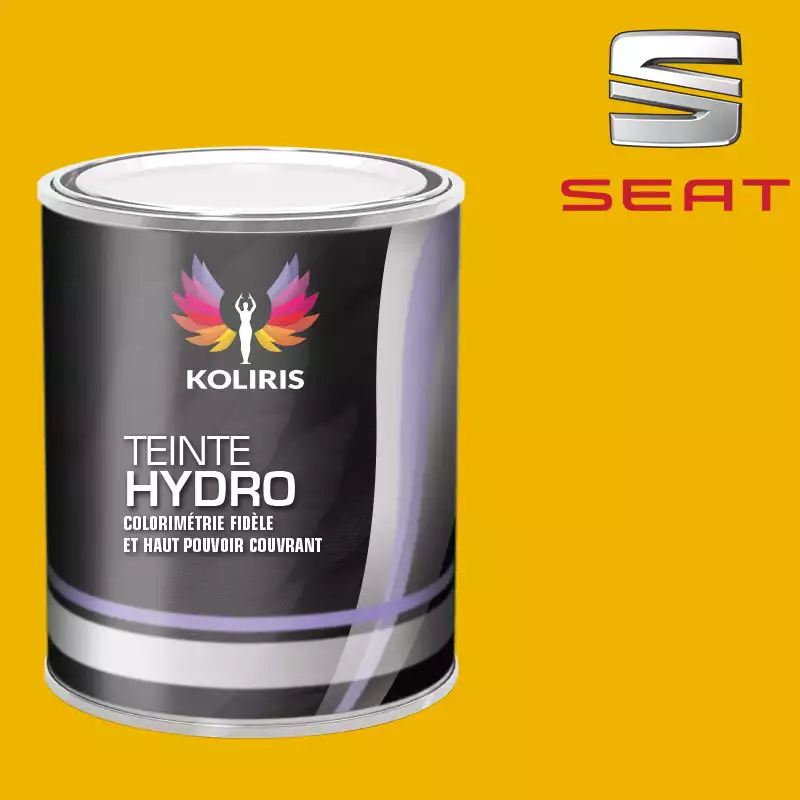 Peinture voiture hydro Seat