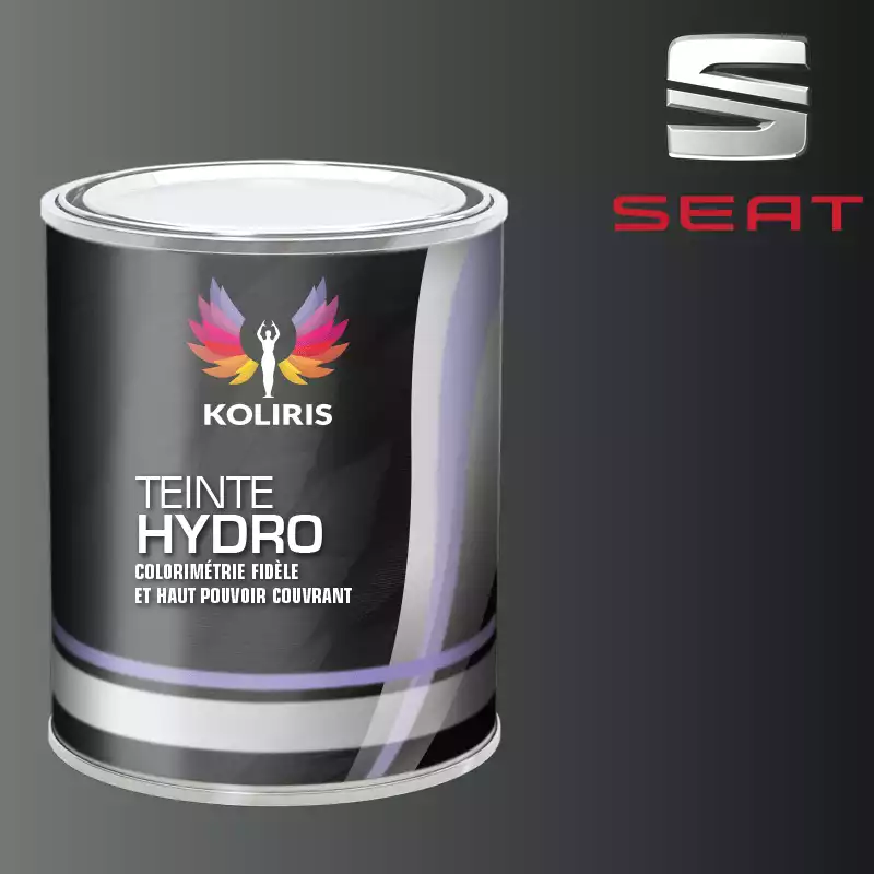 Peinture voiture hydro Seat