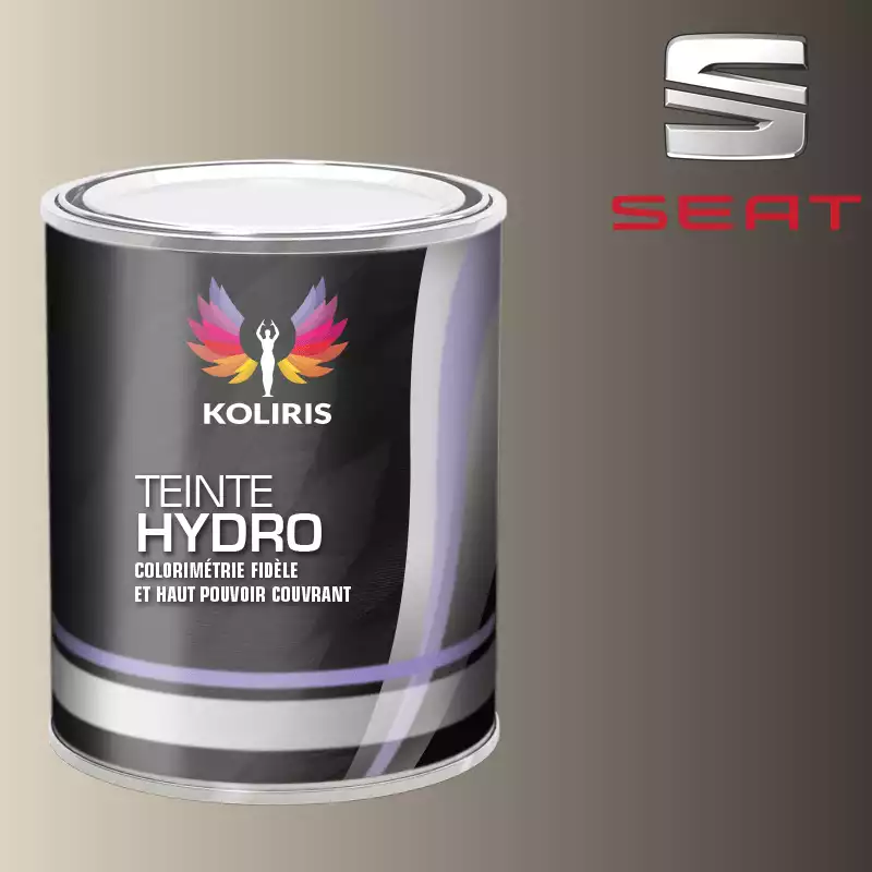 Peinture voiture hydro Seat