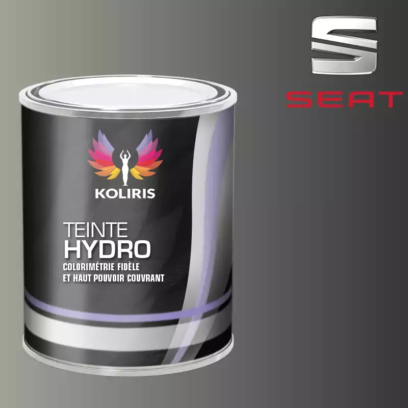 Peinture voiture hydro Seat