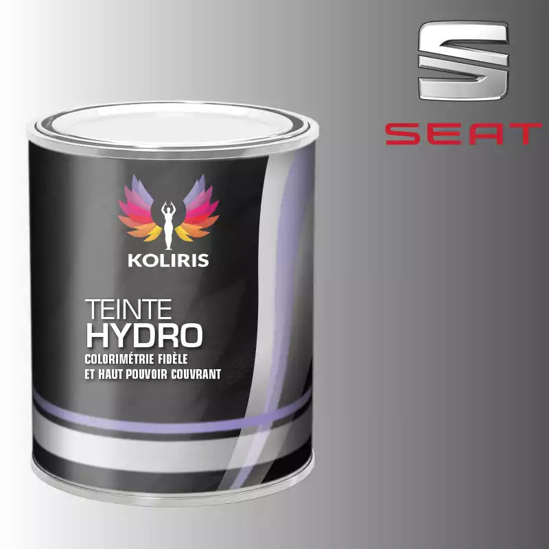 Peinture voiture hydro Seat