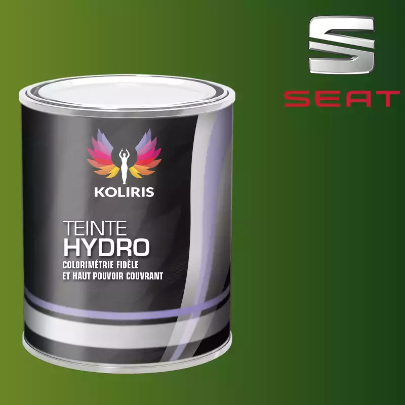 Peinture voiture hydro Seat