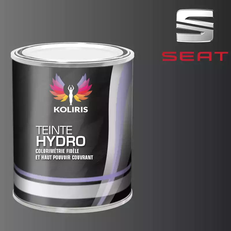 Peinture voiture hydro Seat