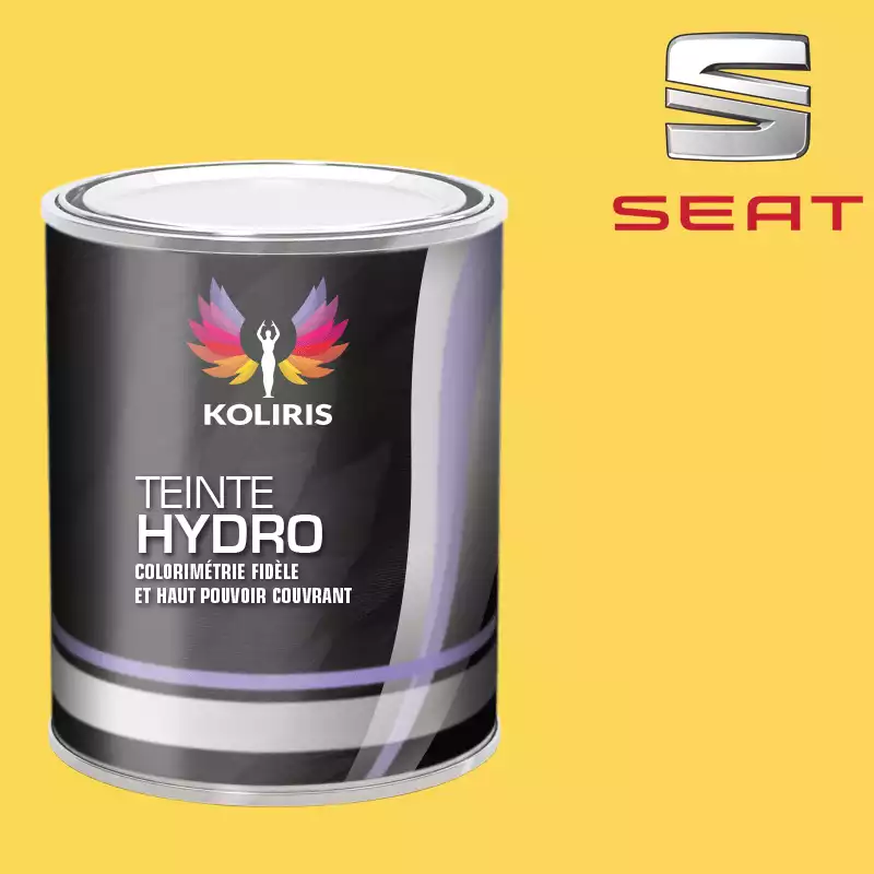 Peinture voiture hydro Seat