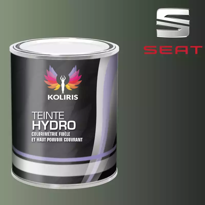 Peinture voiture hydro Seat