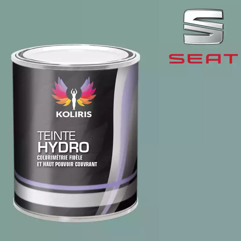 Peinture voiture hydro Seat