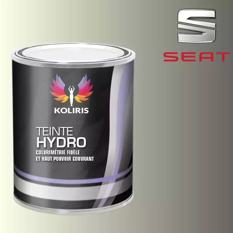 Peinture voiture hydro Seat