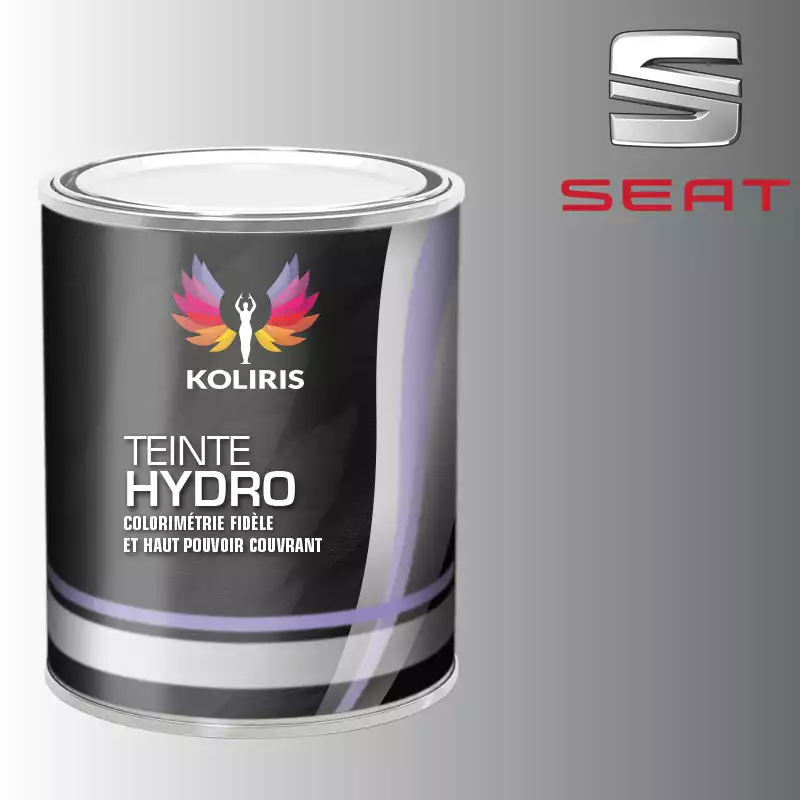 Peinture voiture hydro Seat