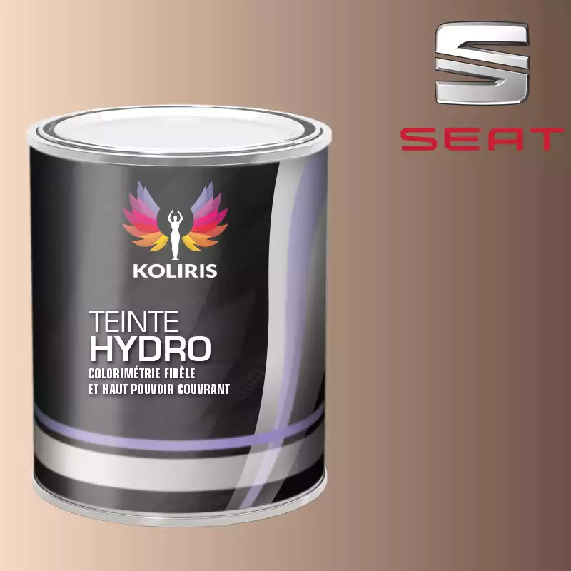 Peinture voiture hydro Seat